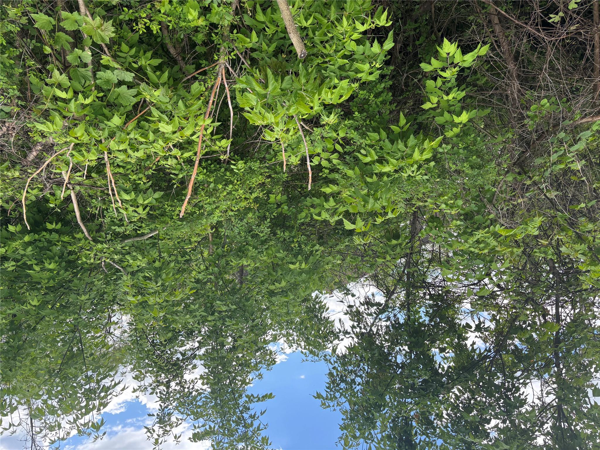 #6 photo, 21 Washington Avenue, White Plains , NY 10603