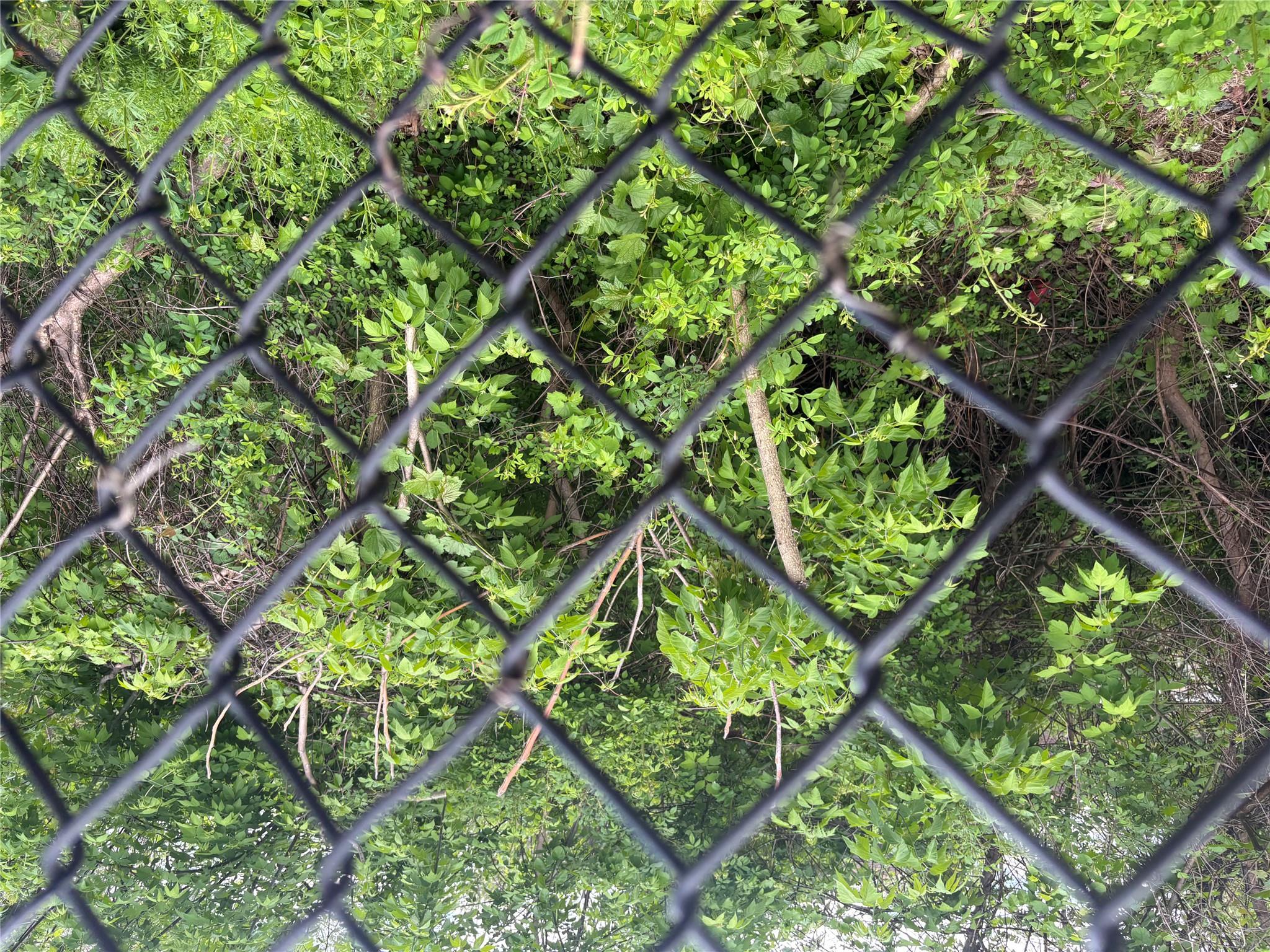 #7 photo, 21 Washington Avenue, White Plains , NY 10603