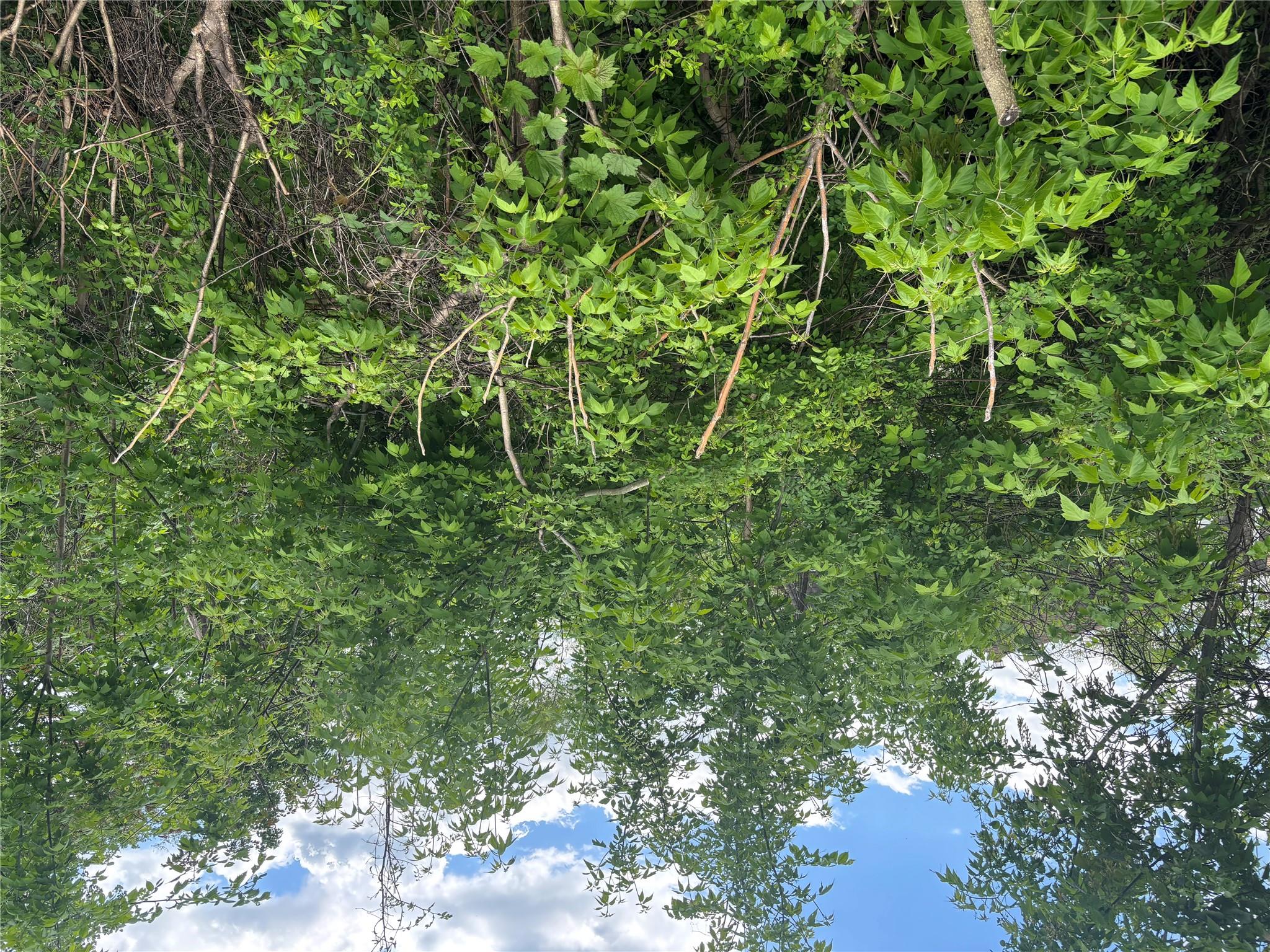 #8 photo, 21 Washington Avenue, White Plains , NY 10603