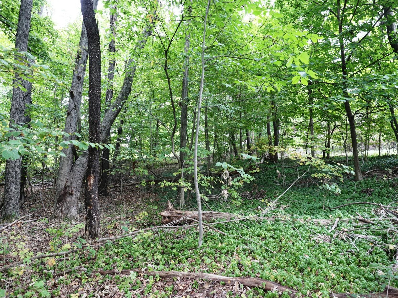 #10 photo, 12 Hinchcliffe Drive, Newburgh , NY 12550