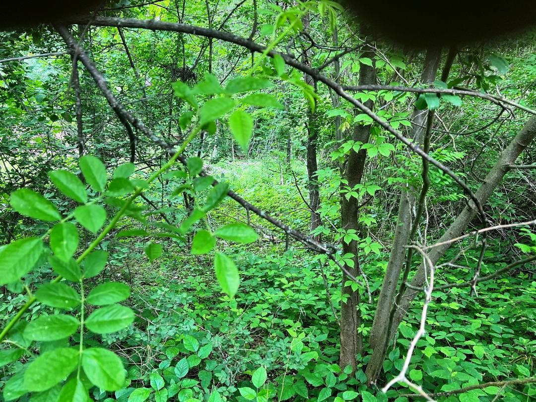 #5 photo, 12 Hinchcliffe Drive, Newburgh , NY 12550