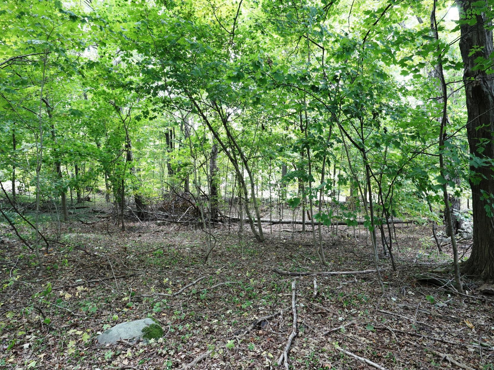 #6 photo, 12 Hinchcliffe Drive, Newburgh , NY 12550