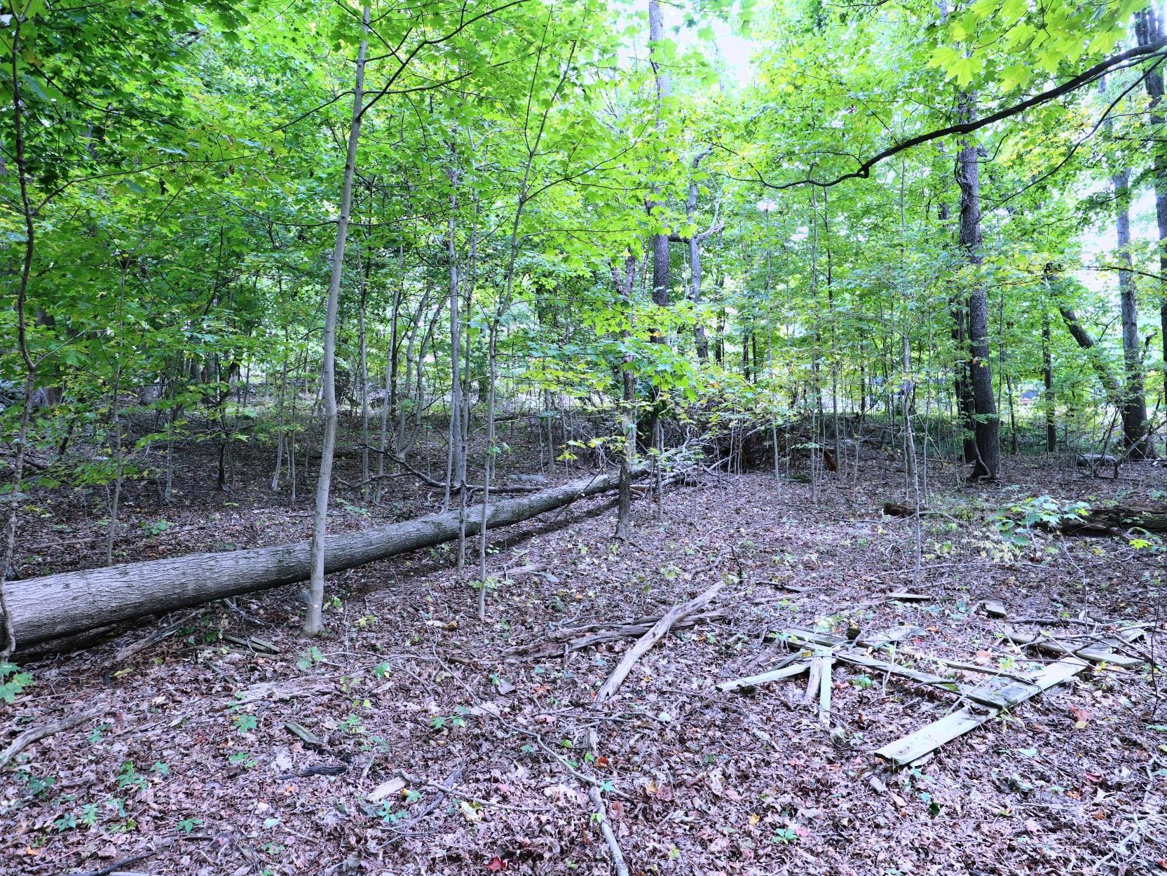 #7 photo, 12 Hinchcliffe Drive, Newburgh , NY 12550