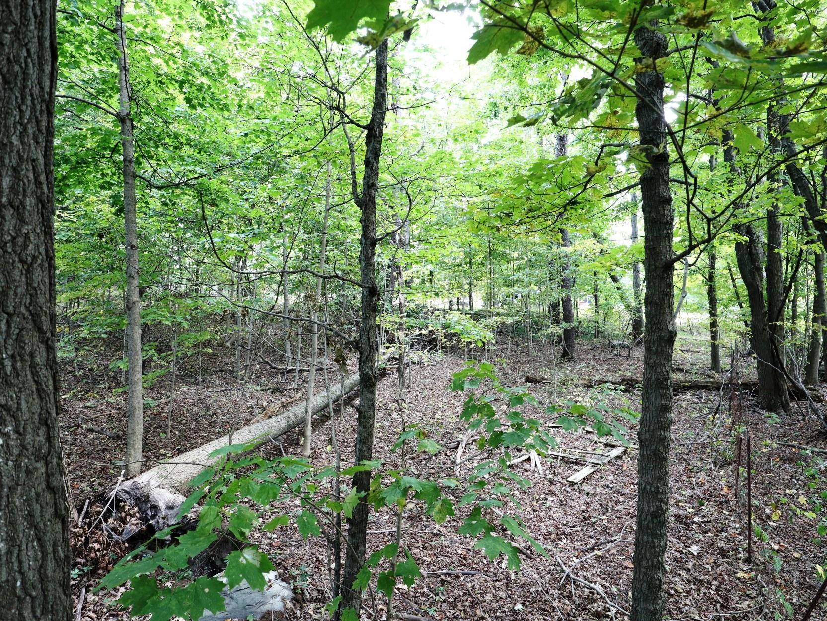 #8 photo, 12 Hinchcliffe Drive, Newburgh , NY 12550