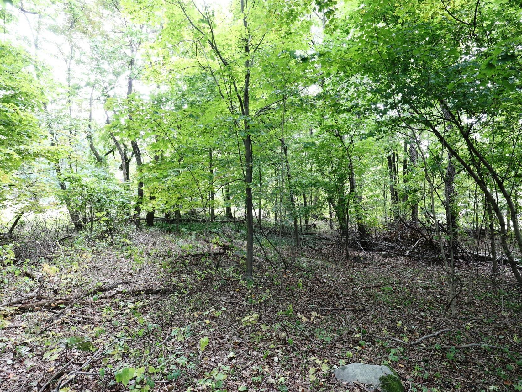 #9 photo, 12 Hinchcliffe Drive, Newburgh , NY 12550