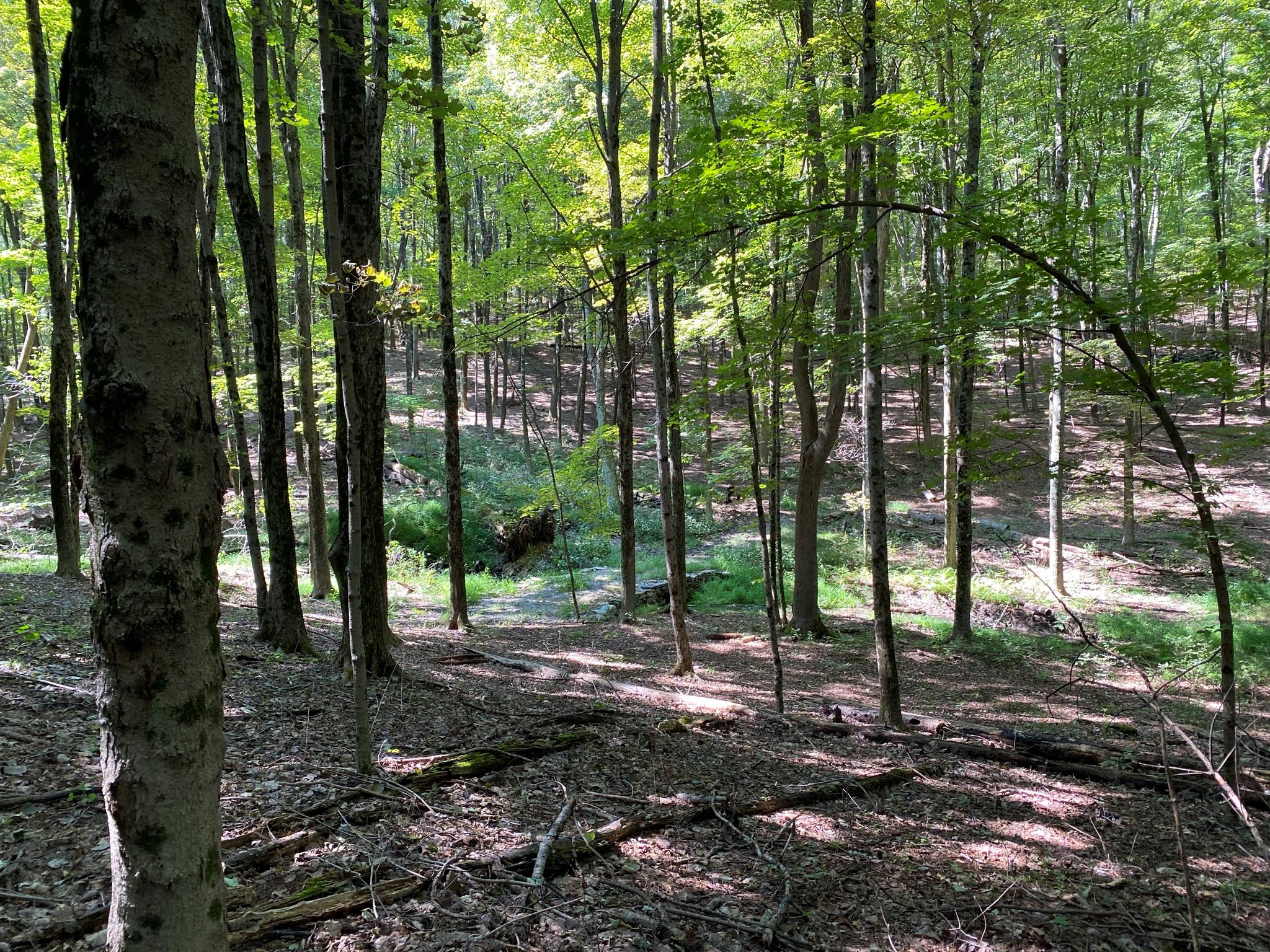 #11 photo, 505-1 Pumpkin Lane, Clinton Corners , NY 12514