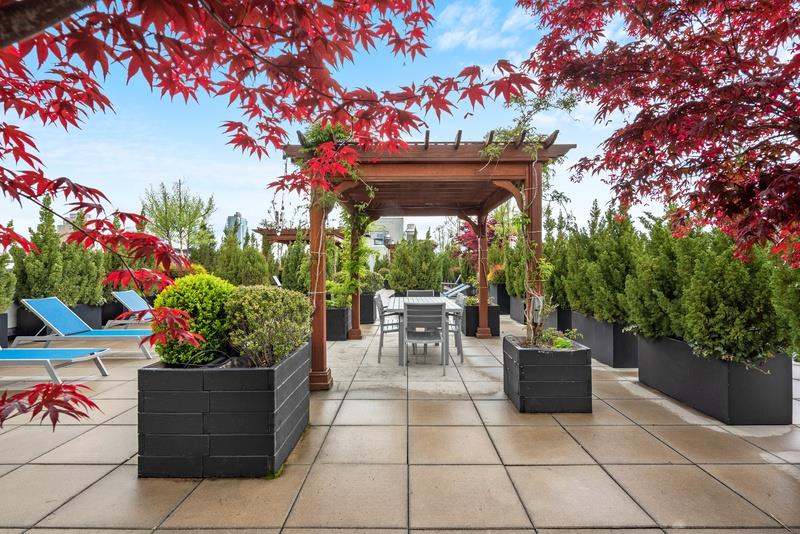 #17 photo, 214 N 11TH Street, ブルックリン区 Williamsburg,North , NY 11211