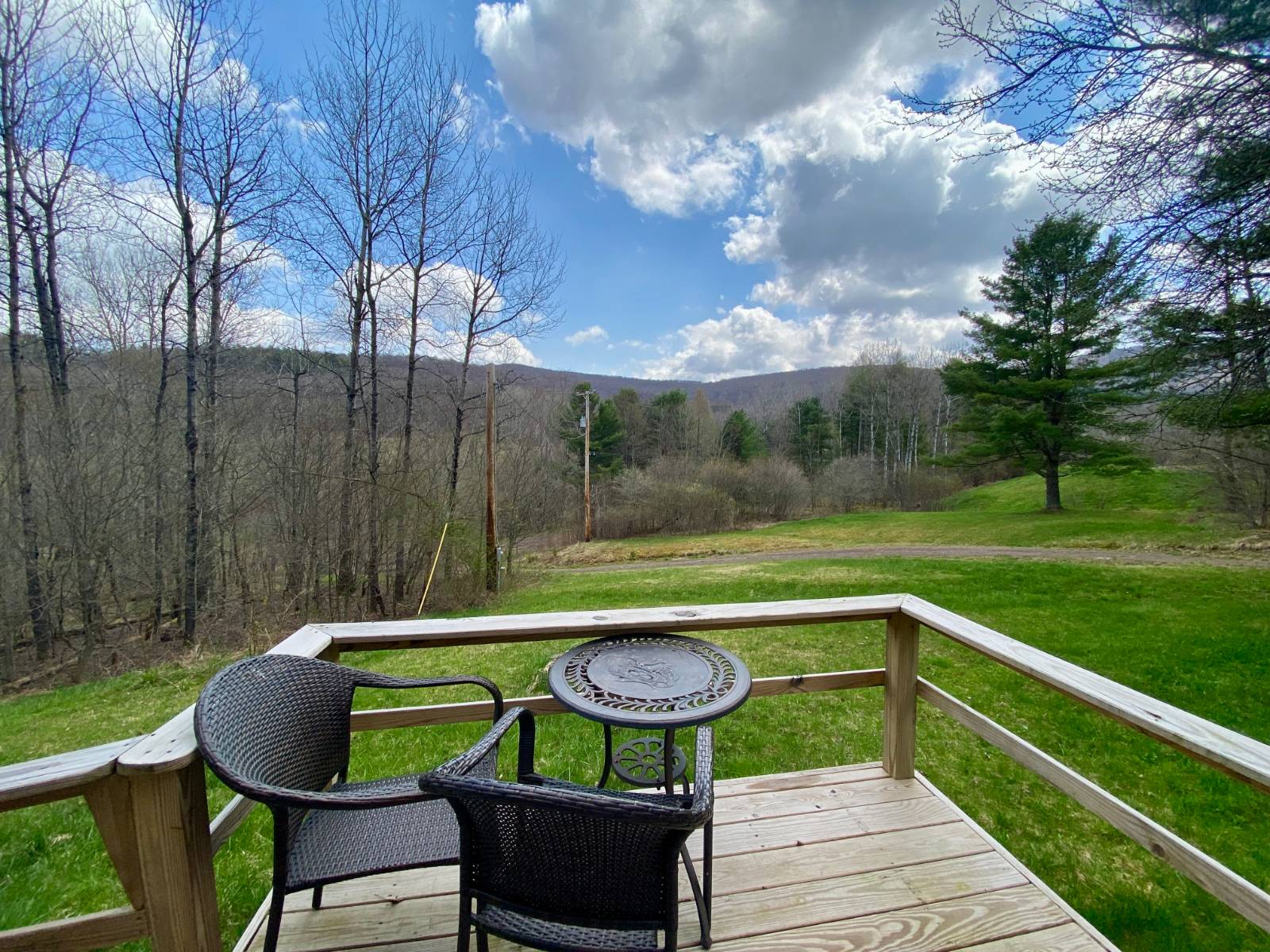 #14 photo, 277 Seedorf Rd, Bovina , NY 13740