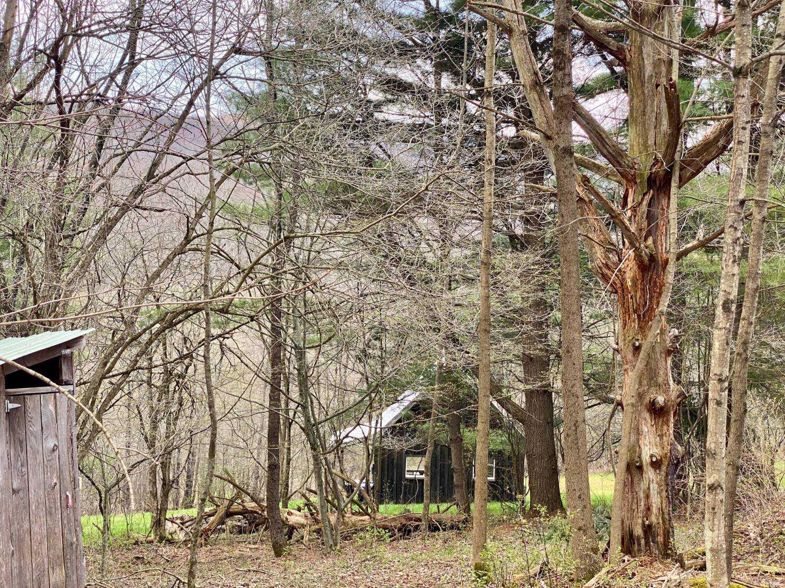 #18 photo, 277 Seedorf Rd, Bovina , NY 13740