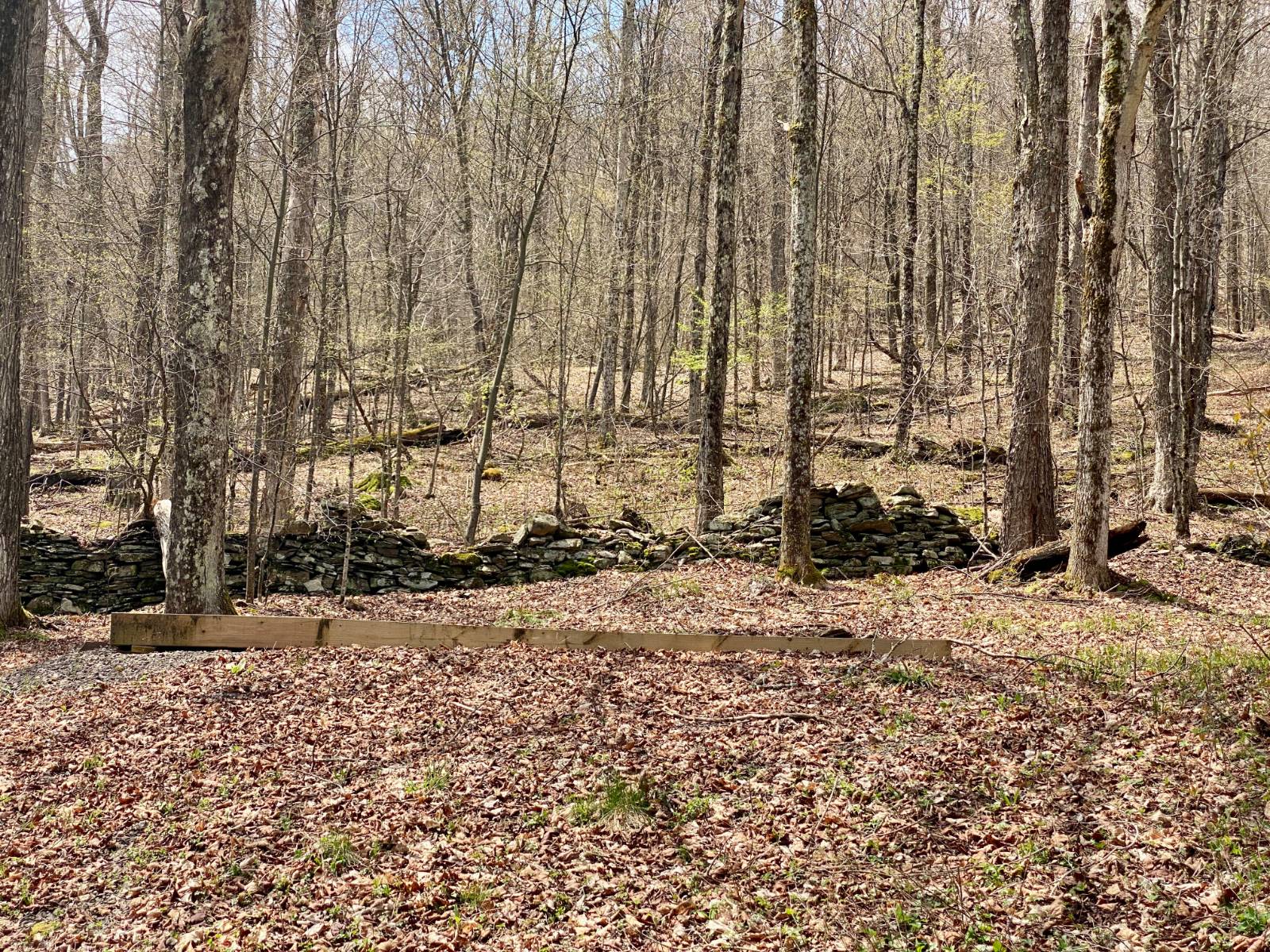 #19 photo, 277 Seedorf Rd, Bovina , NY 13740