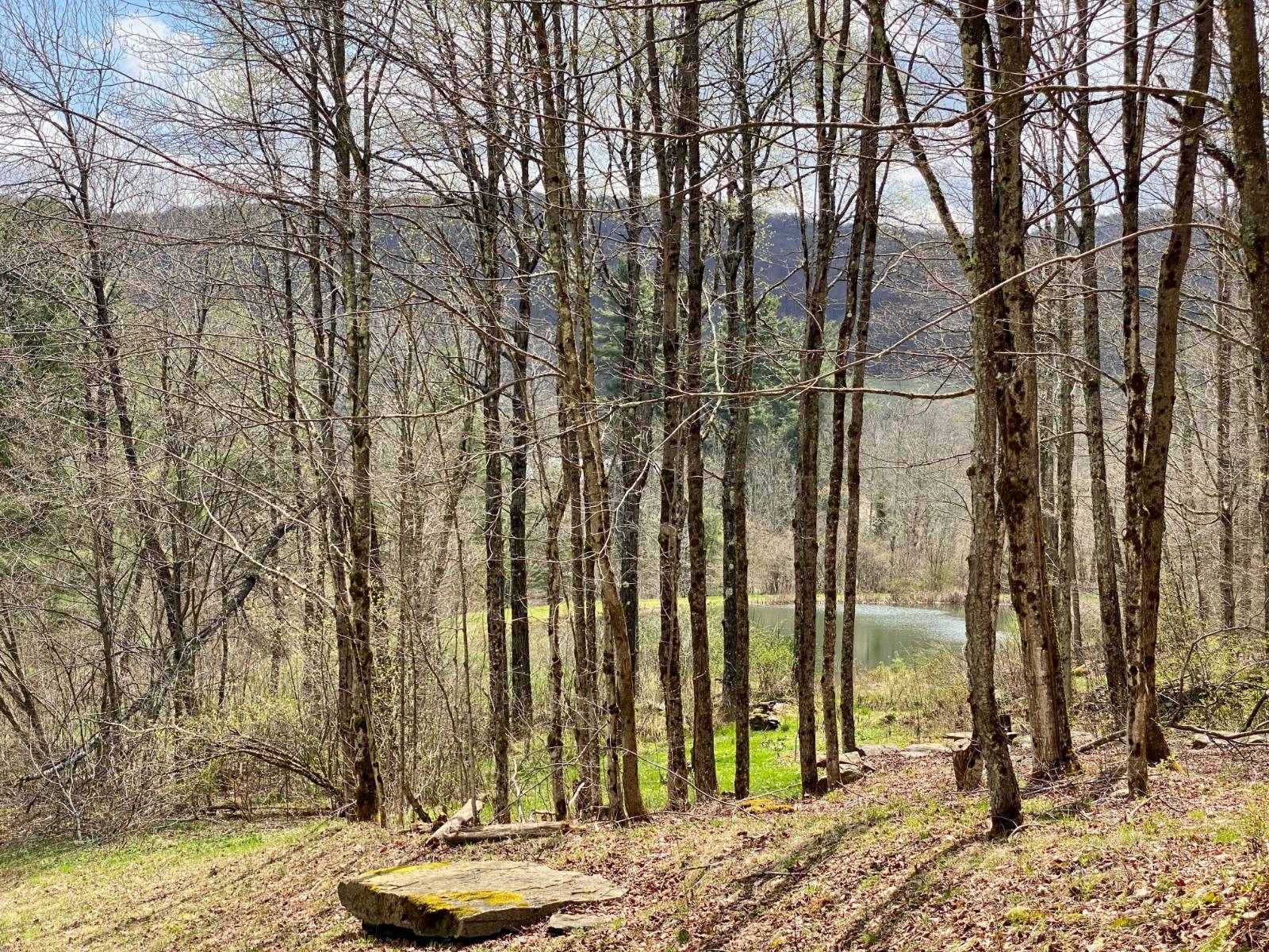 #20 photo, 277 Seedorf Rd, Bovina , NY 13740