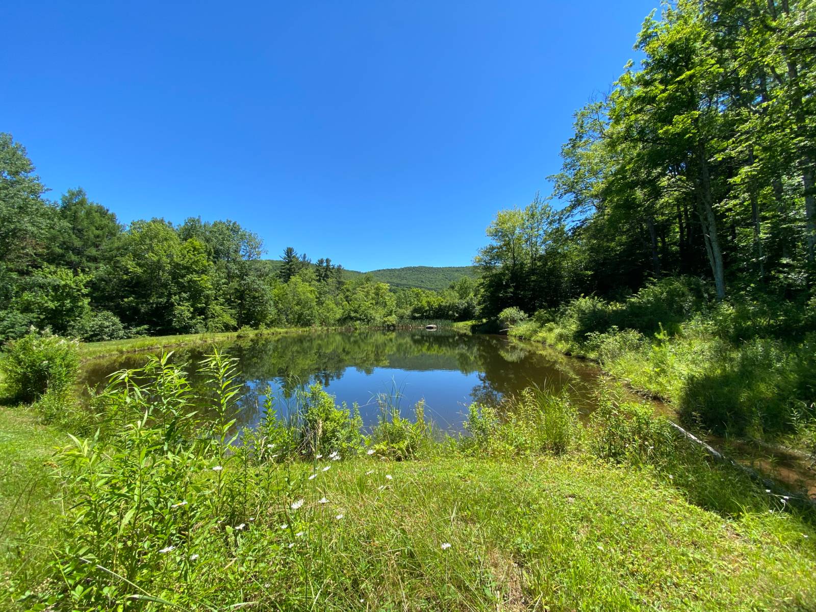 #21 photo, 277 Seedorf Rd, Bovina , NY 13740