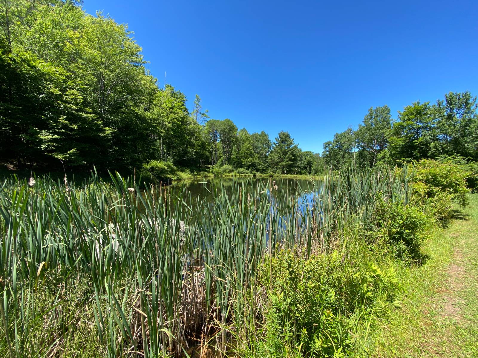 #22 photo, 277 Seedorf Rd, Bovina , NY 13740