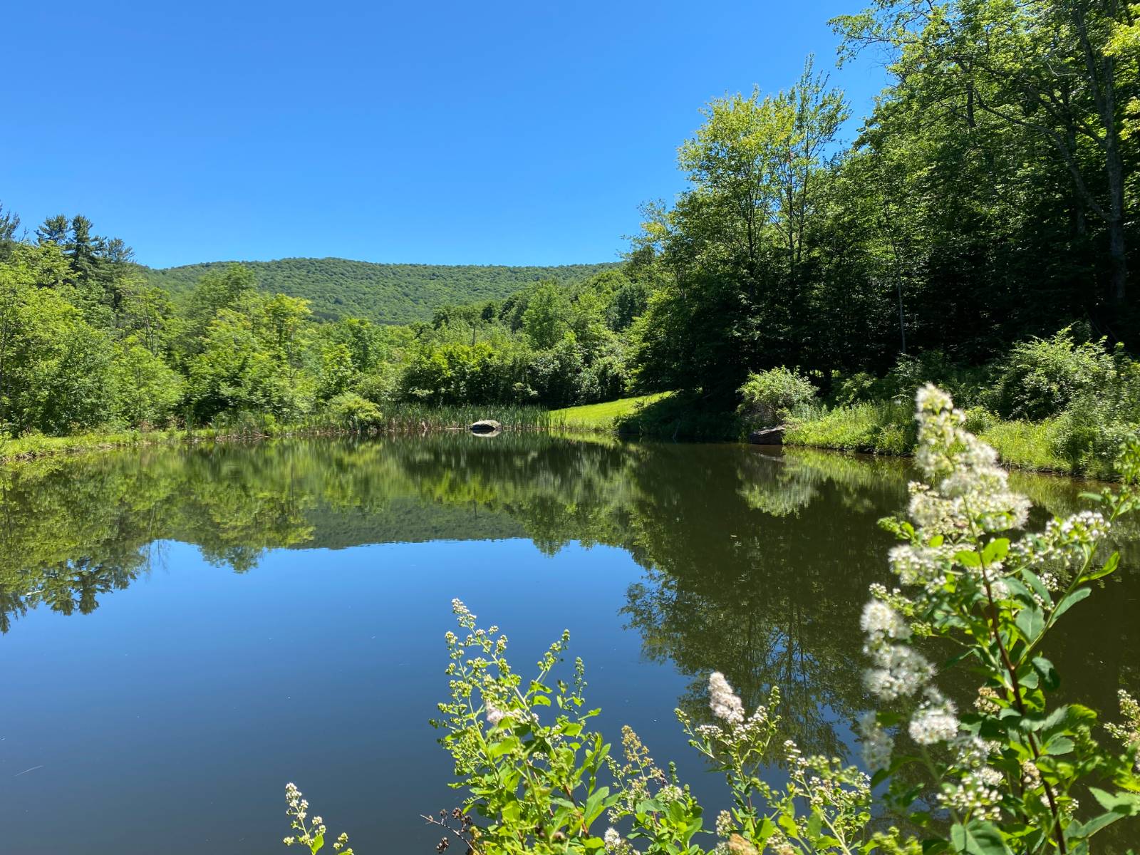 #23 photo, 277 Seedorf Rd, Bovina , NY 13740