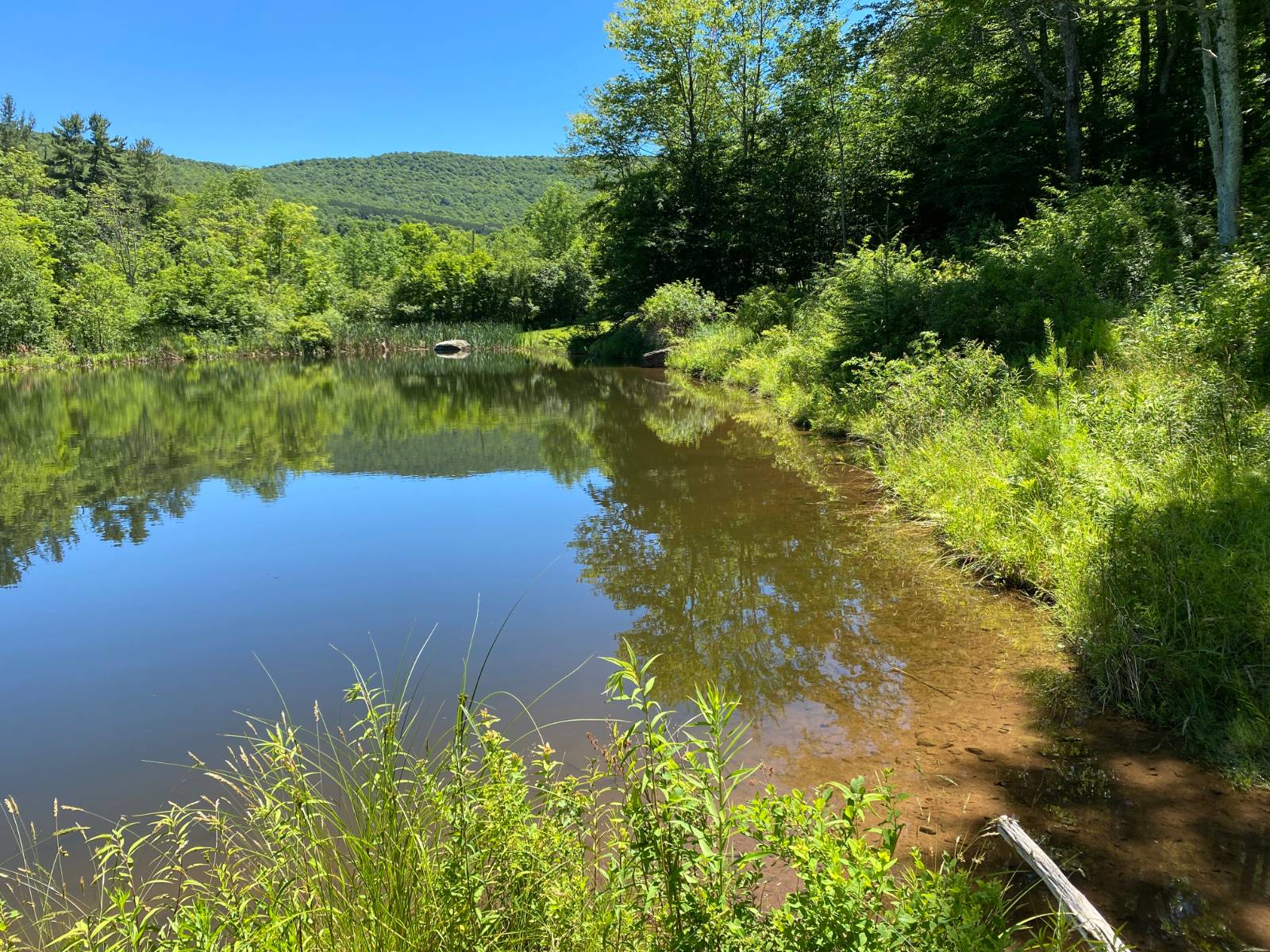 #24 photo, 277 Seedorf Rd, Bovina , NY 13740