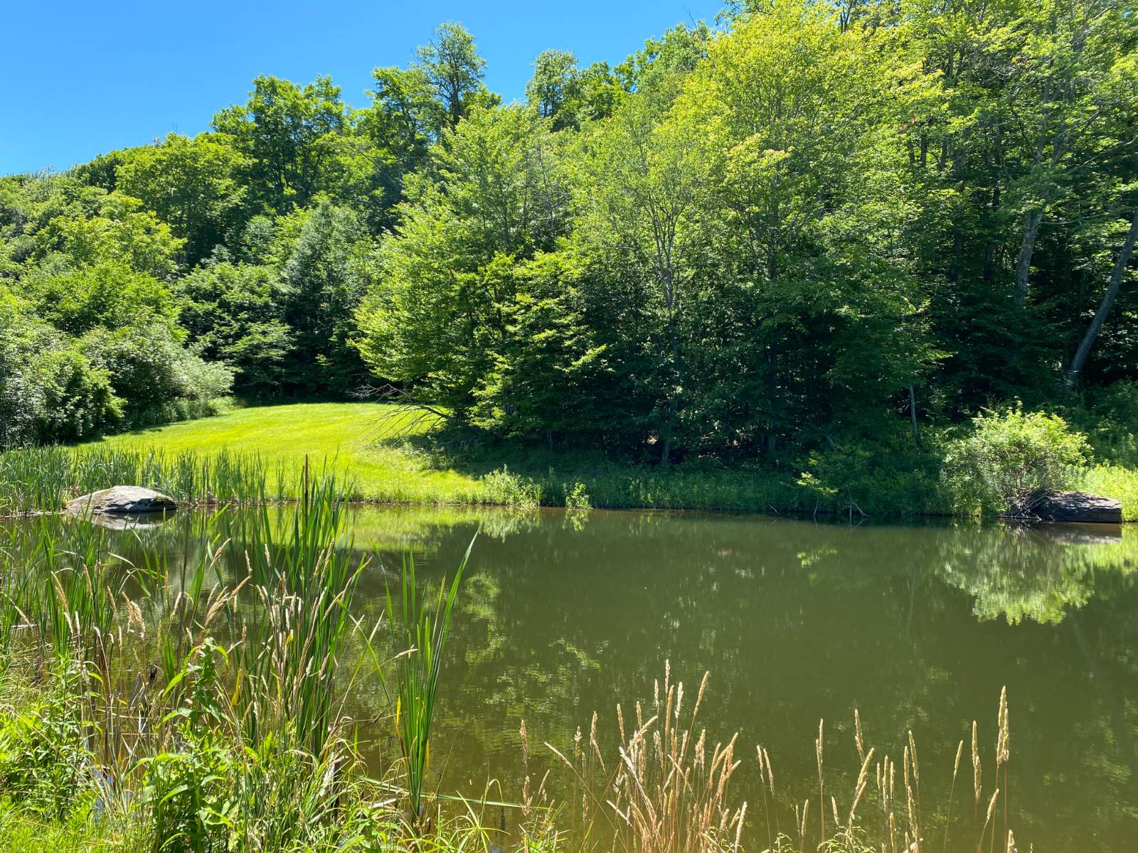 #25 photo, 277 Seedorf Rd, Bovina , NY 13740