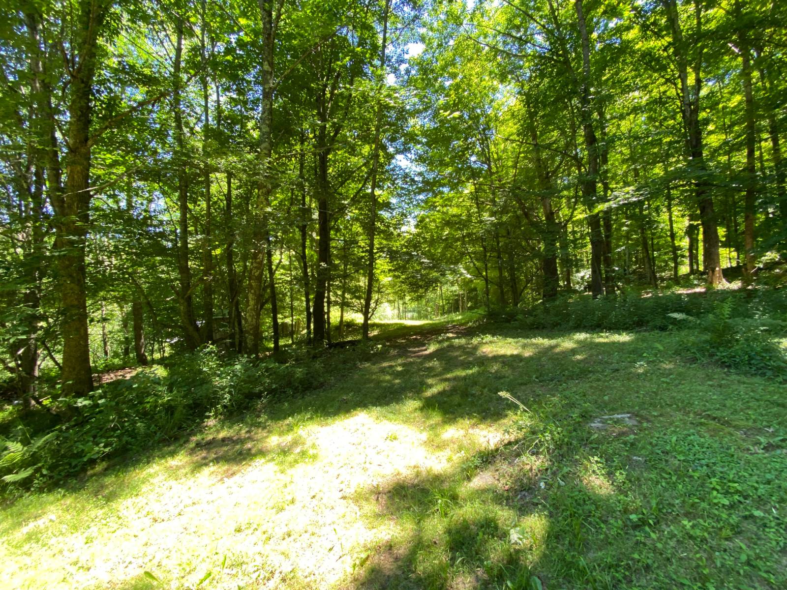 #29 photo, 277 Seedorf Rd, Bovina , NY 13740