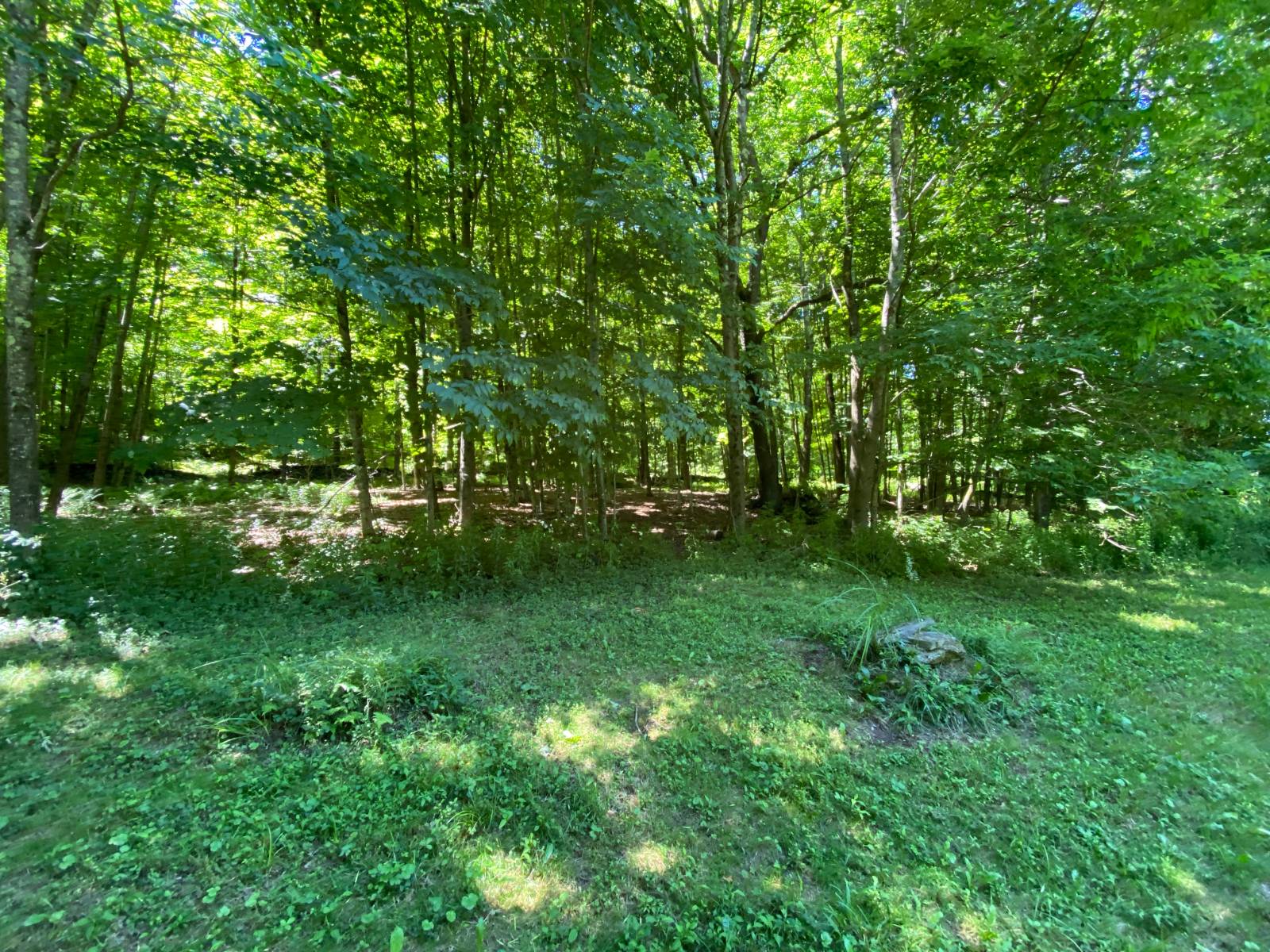 #30 photo, 277 Seedorf Rd, Bovina , NY 13740