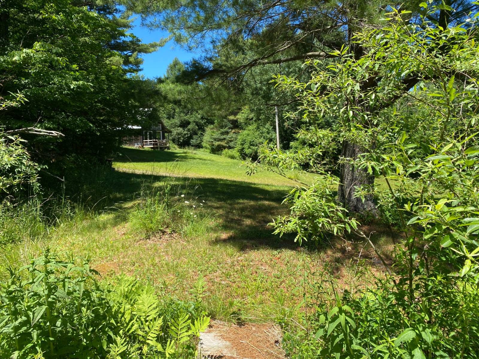 #32 photo, 277 Seedorf Rd, Bovina , NY 13740