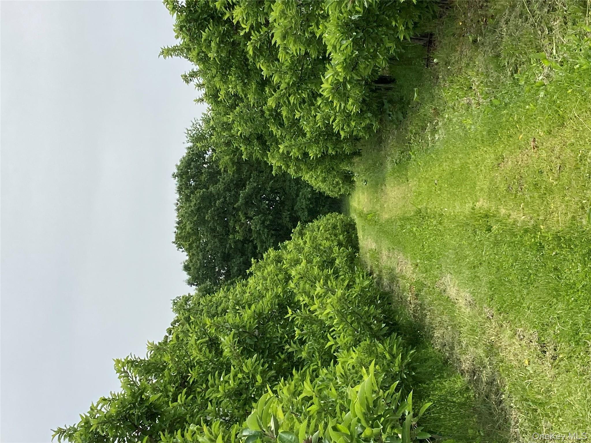 #10 photo, 73 Peach Lane, Marlboro , NY 12515