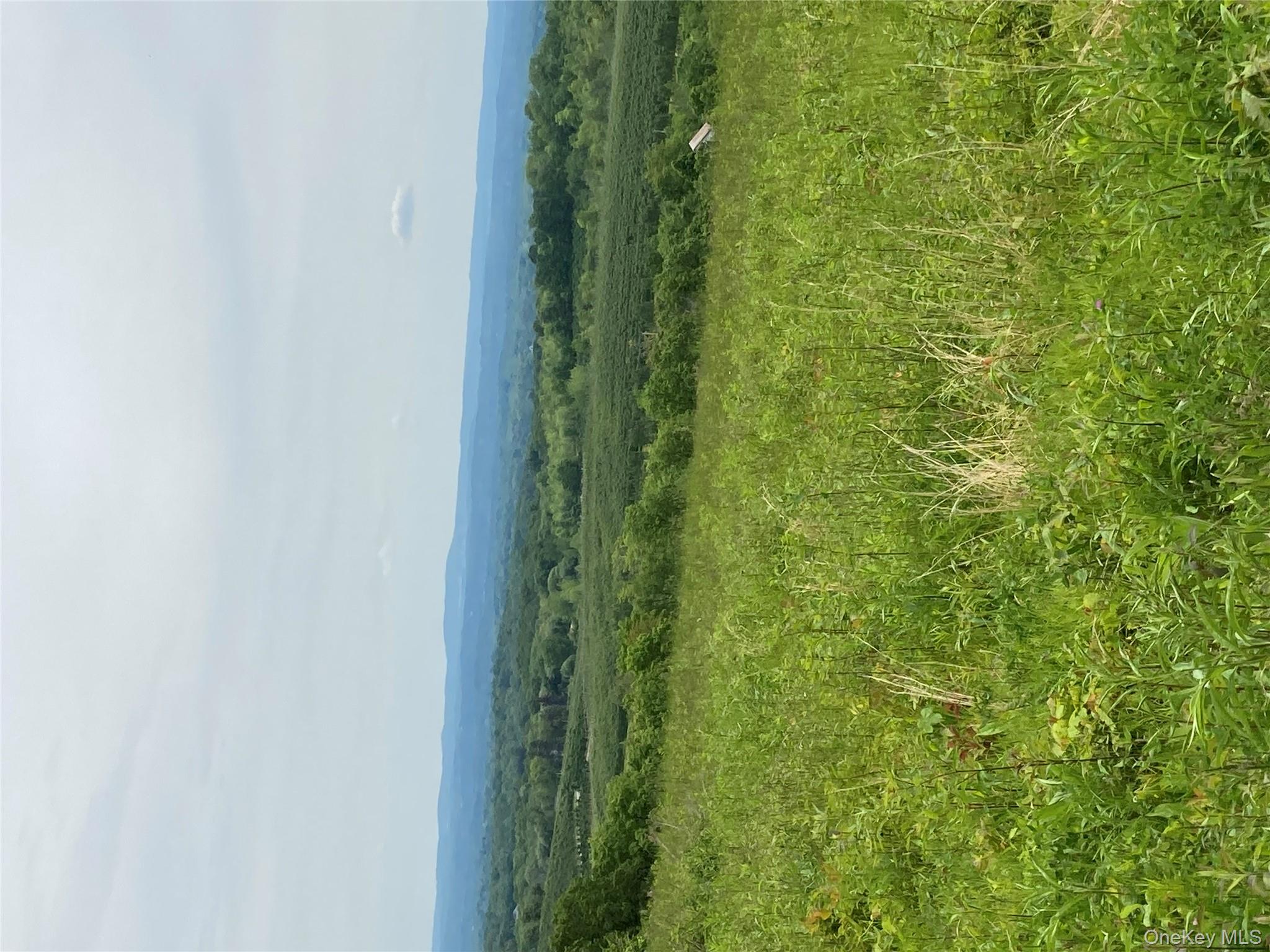 #11 photo, 73 Peach Lane, Marlboro , NY 12515