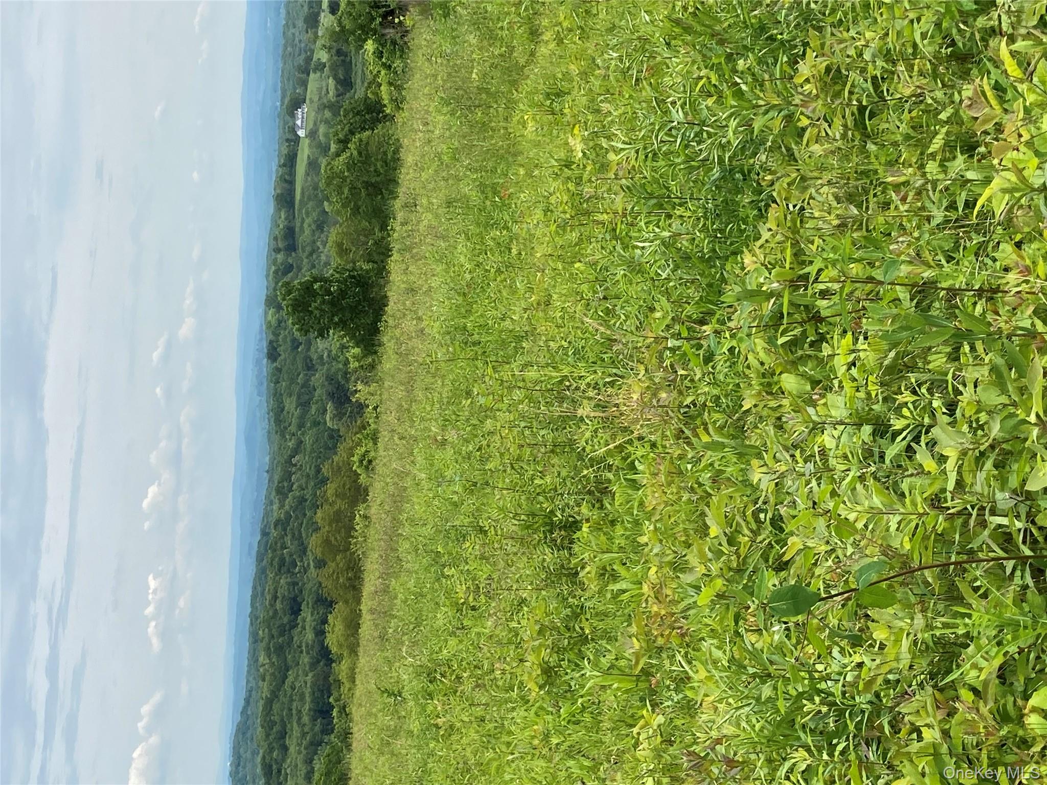 #12 photo, 73 Peach Lane, Marlboro , NY 12515