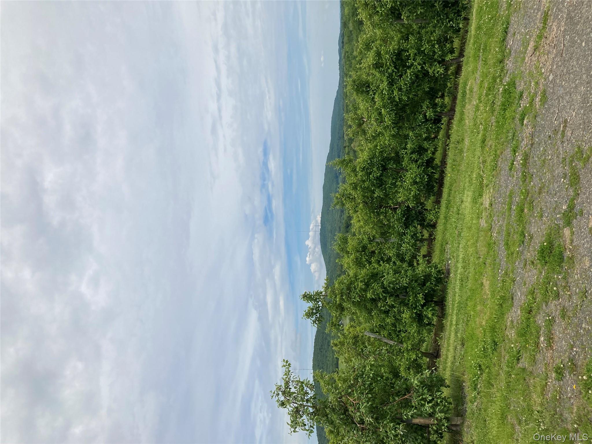 #19 photo, 73 Peach Lane, Marlboro , NY 12515