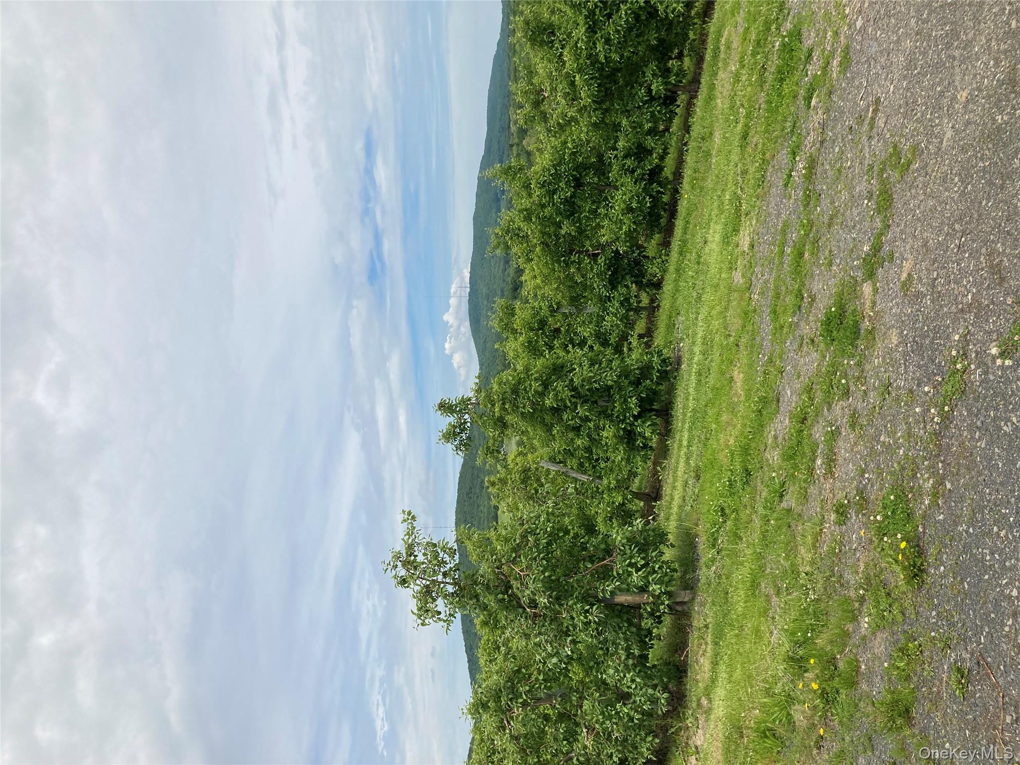 #20 photo, 73 Peach Lane, Marlboro , NY 12515