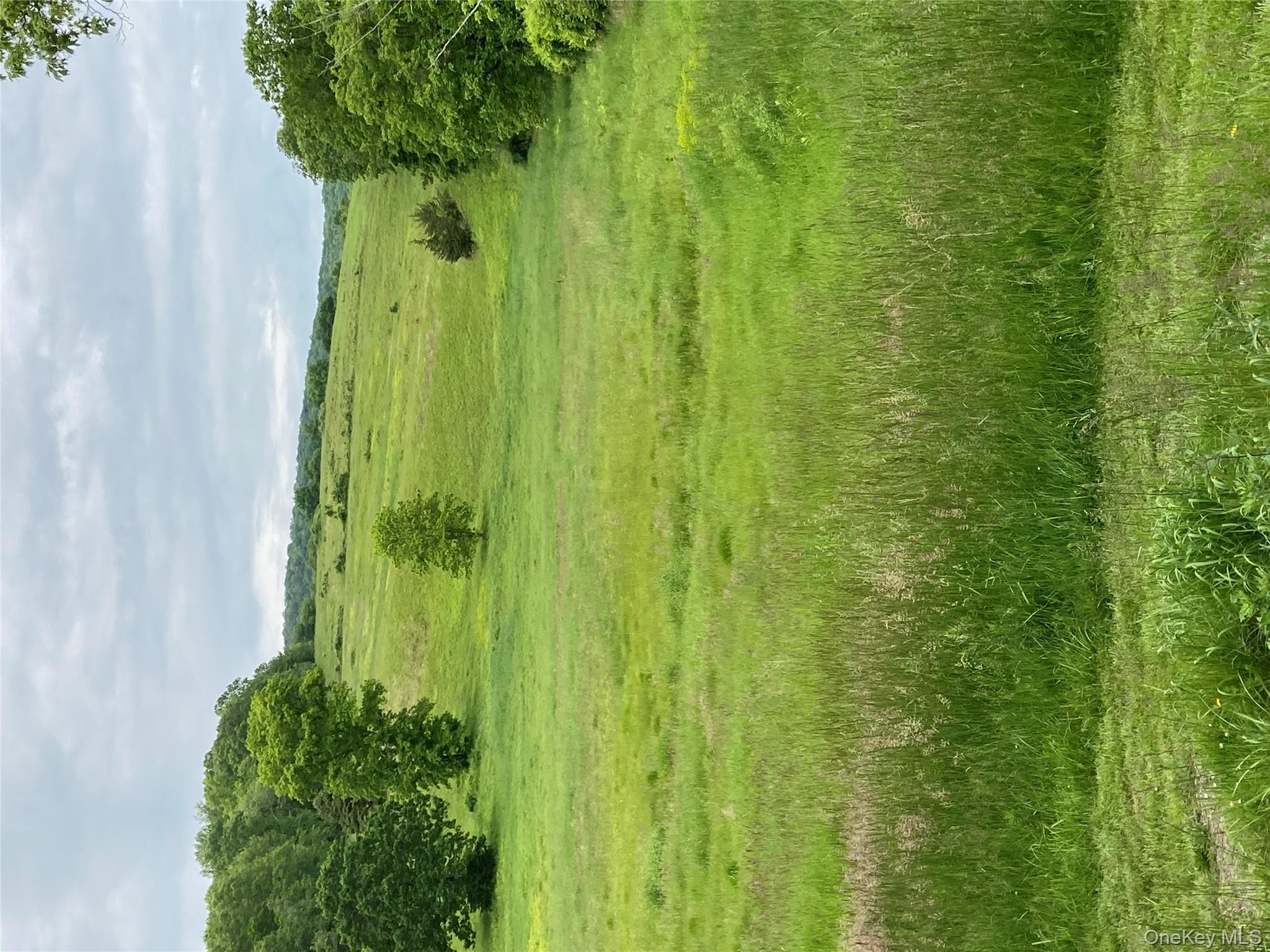 #3 photo, 73 Peach Lane, Marlboro , NY 12515