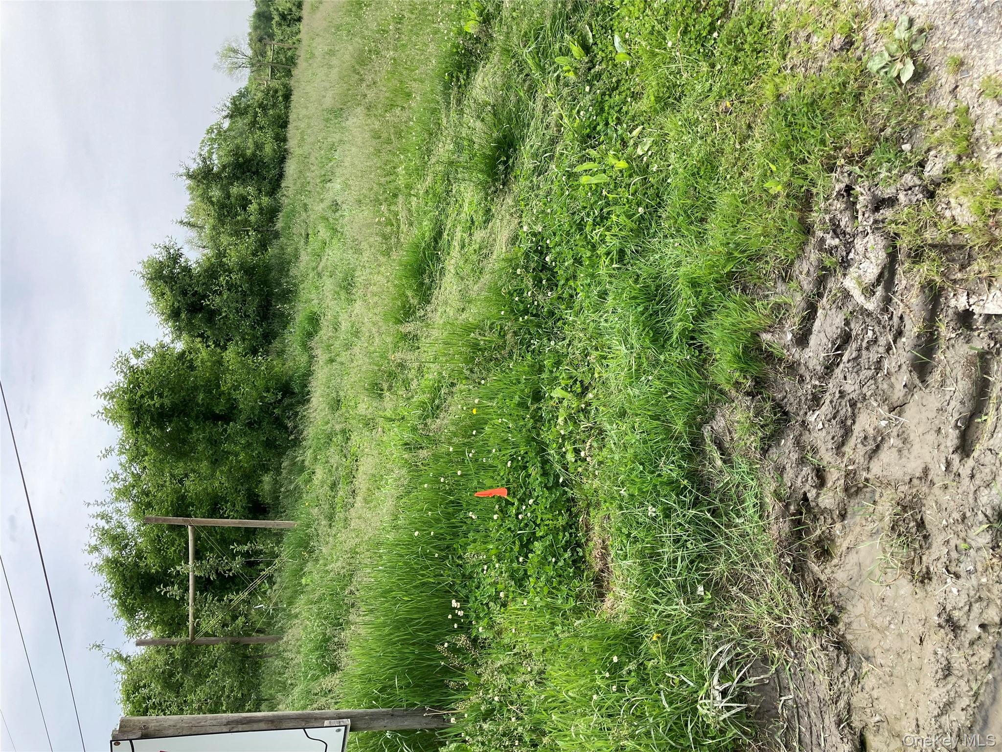 #5 photo, 73 Peach Lane, Marlboro , NY 12515