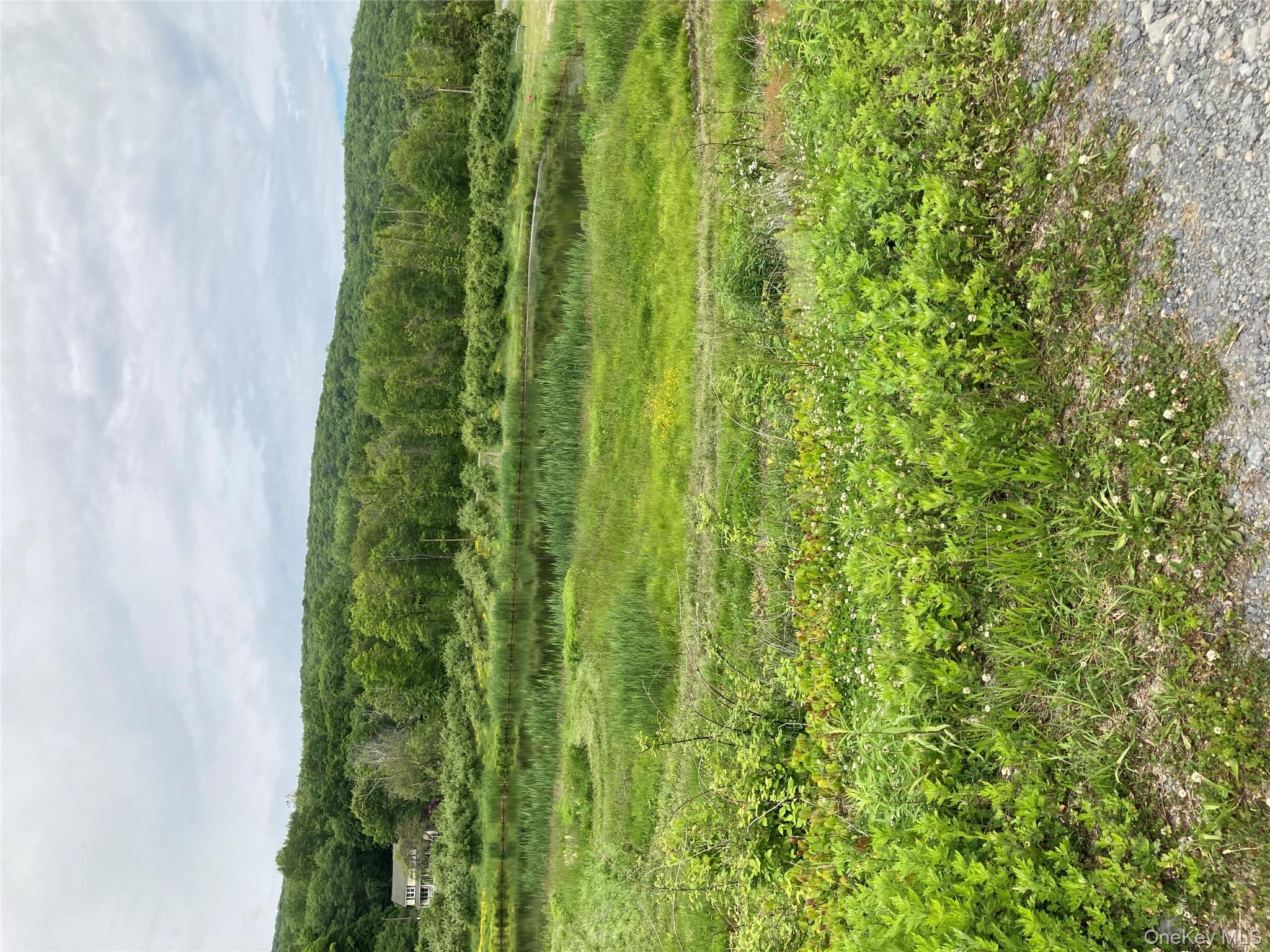 #7 photo, 73 Peach Lane, Marlboro , NY 12515