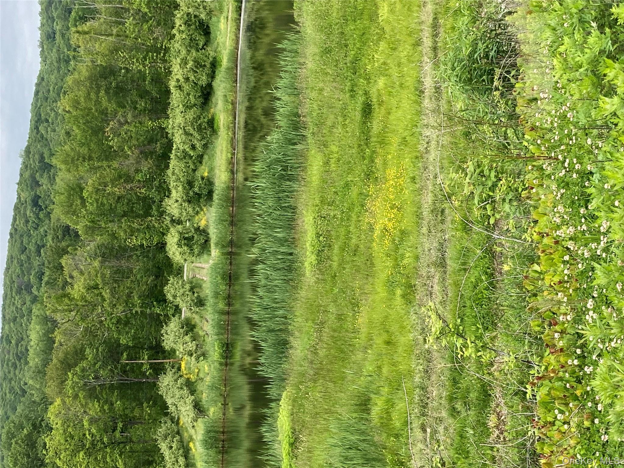 #8 photo, 73 Peach Lane, Marlboro , NY 12515