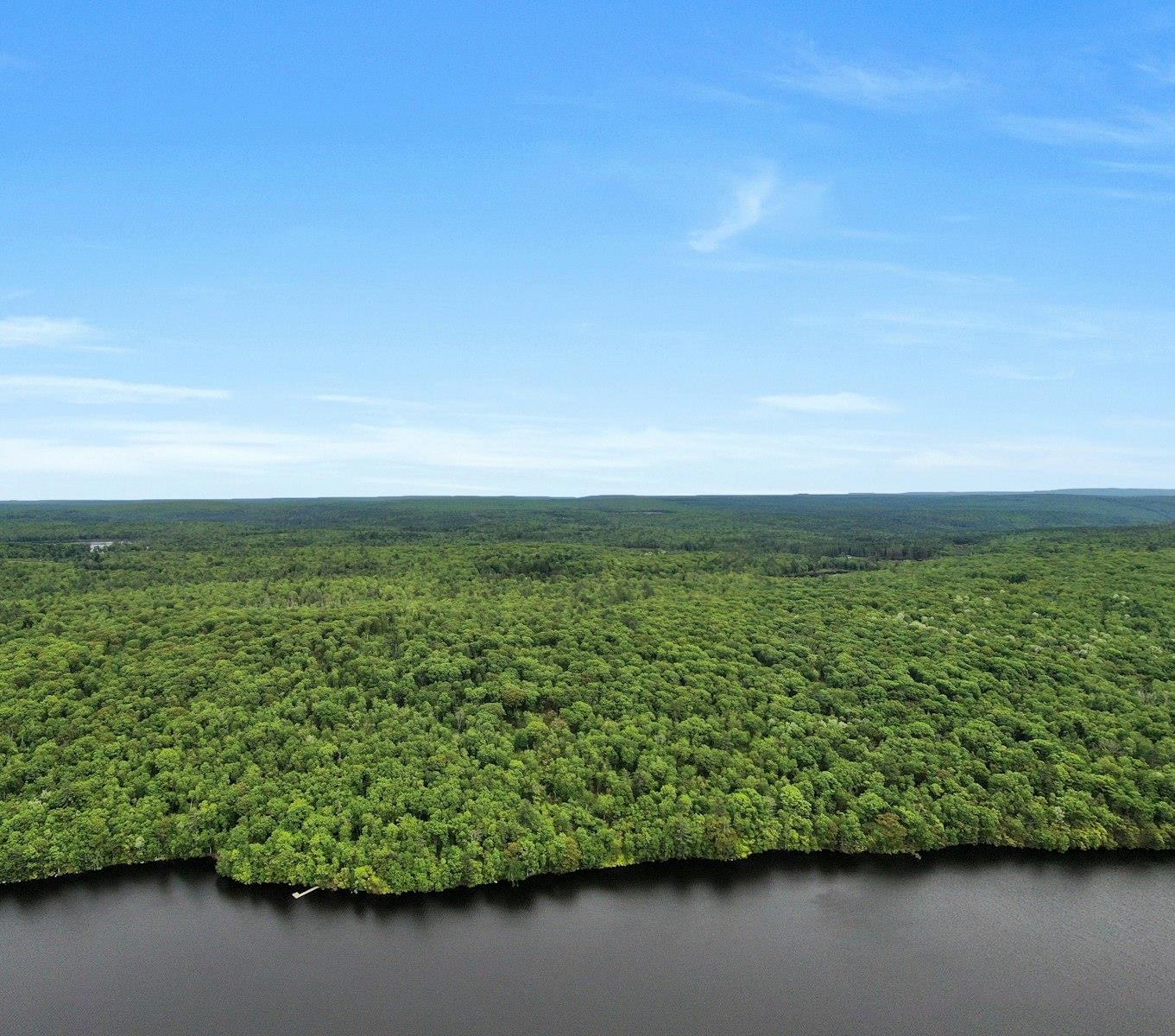 #14 photo, TBD Plank Rd, Forestburgh , NY 