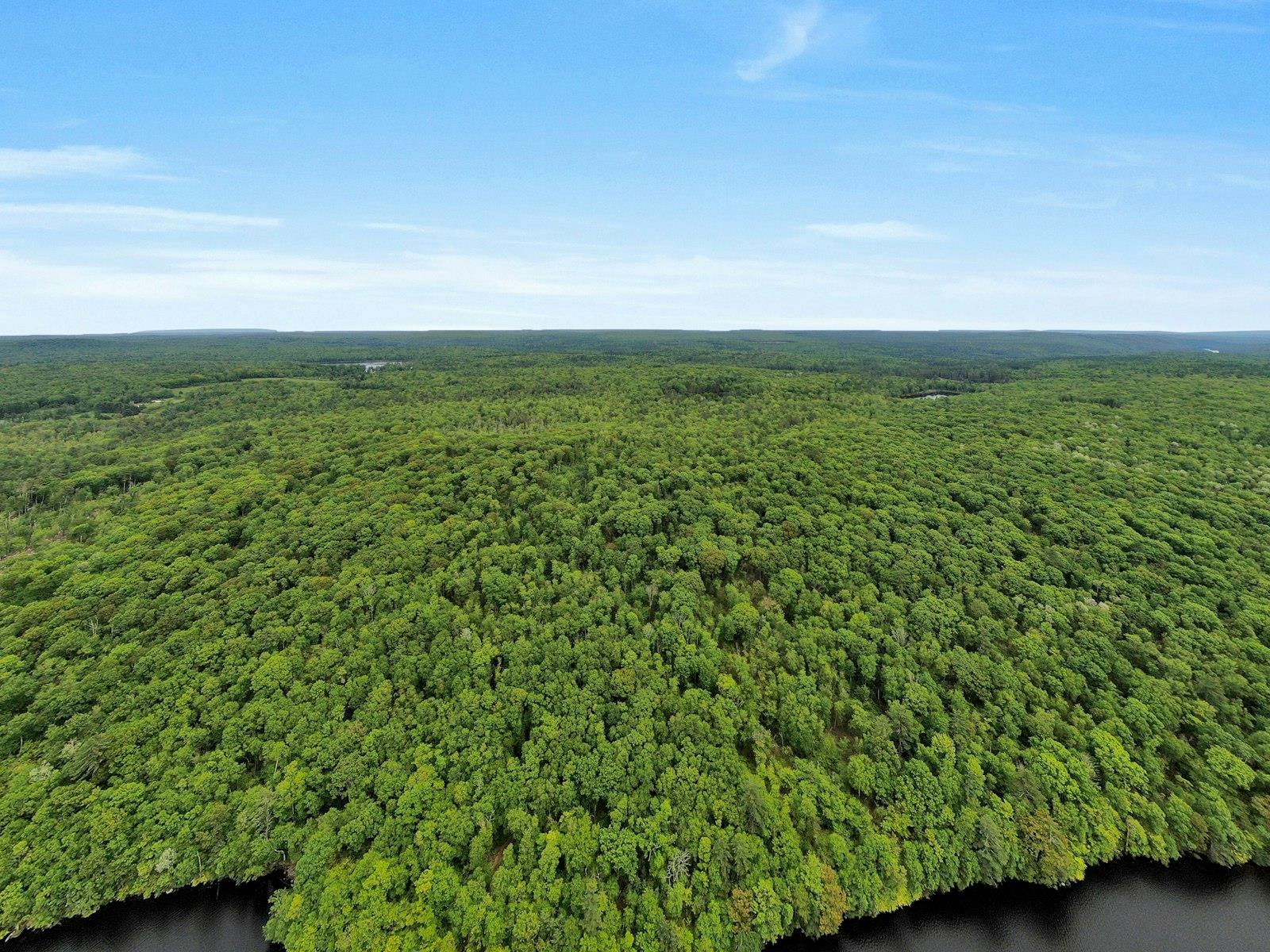 #15 photo, TBD Plank Rd, Forestburgh , NY 