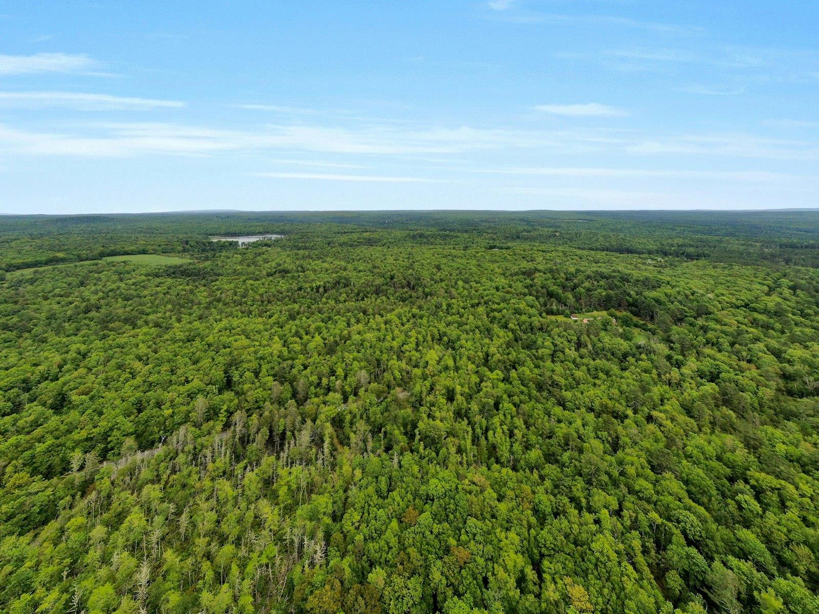 #16 photo, TBD Plank Rd, Forestburgh , NY 