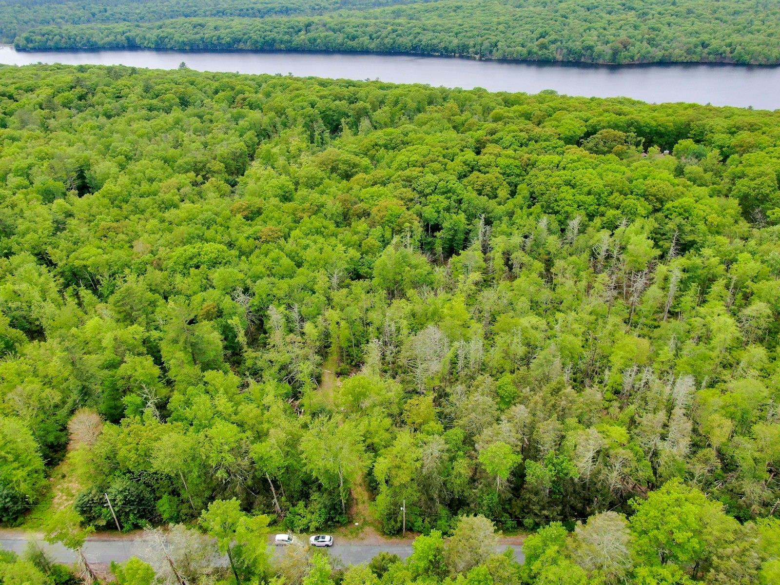 #3 photo, TBD Plank Rd, Forestburgh , NY 