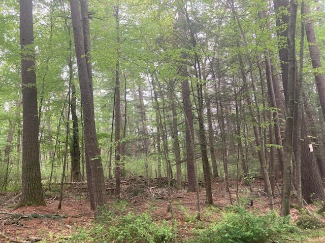 #1 photo, Belair Road, Lumberland , NY 