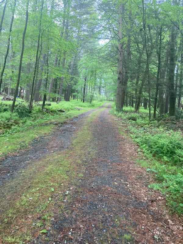 #2 photo, Belair Road, Lumberland , NY 