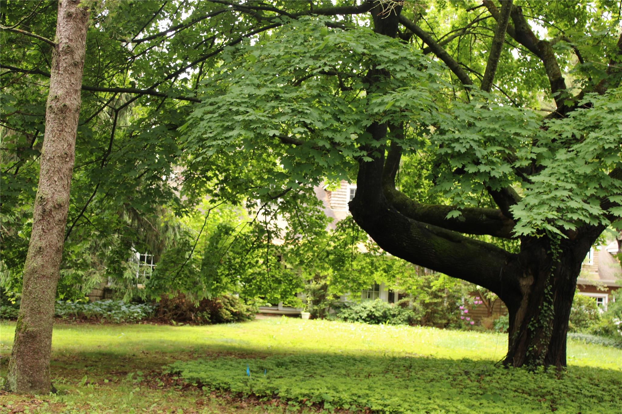 #15 photo, 7 Locust Lane, ナッソー郡 Glen Head , NY 11545