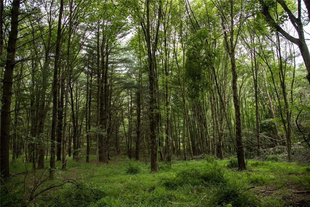 #2 photo, Lot 1 Chapin Trail, White Lake , NY 12786