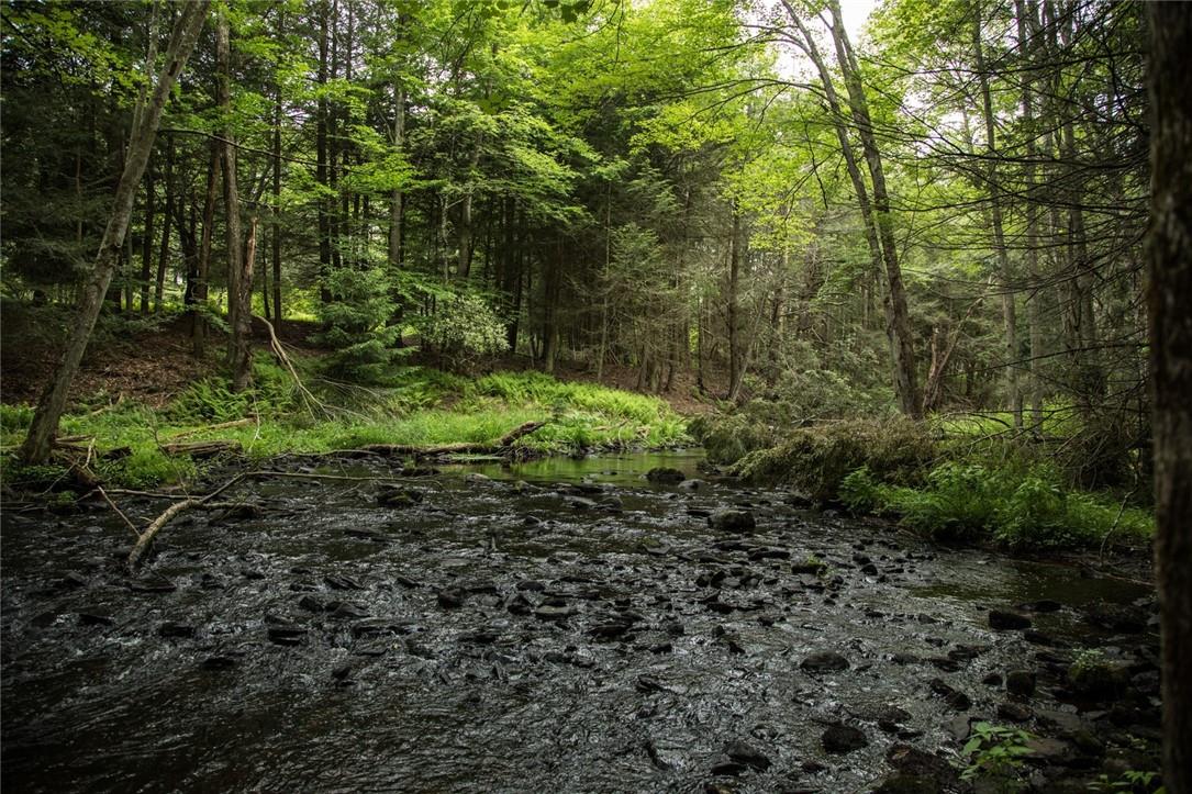 #5 photo, Lot 1 Chapin Trail, White Lake , NY 12786