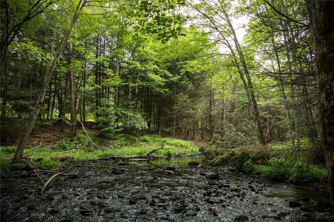 #6 photo, Lot 1 Chapin Trail, White Lake , NY 12786