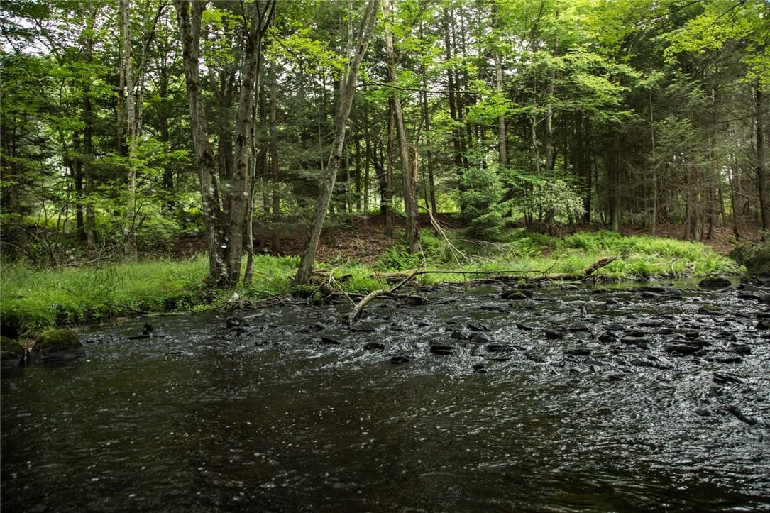 #7 photo, Lot 1 Chapin Trail, White Lake , NY 12786