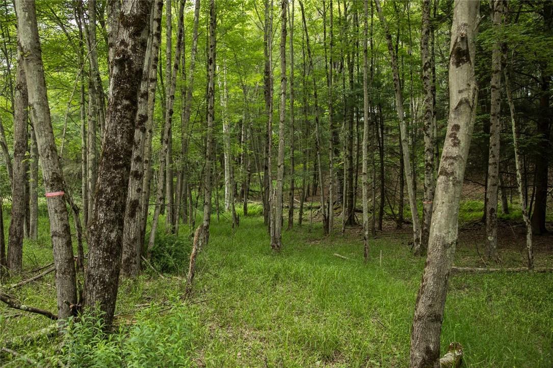 #8 photo, Lot 1 Chapin Trail, White Lake , NY 12786