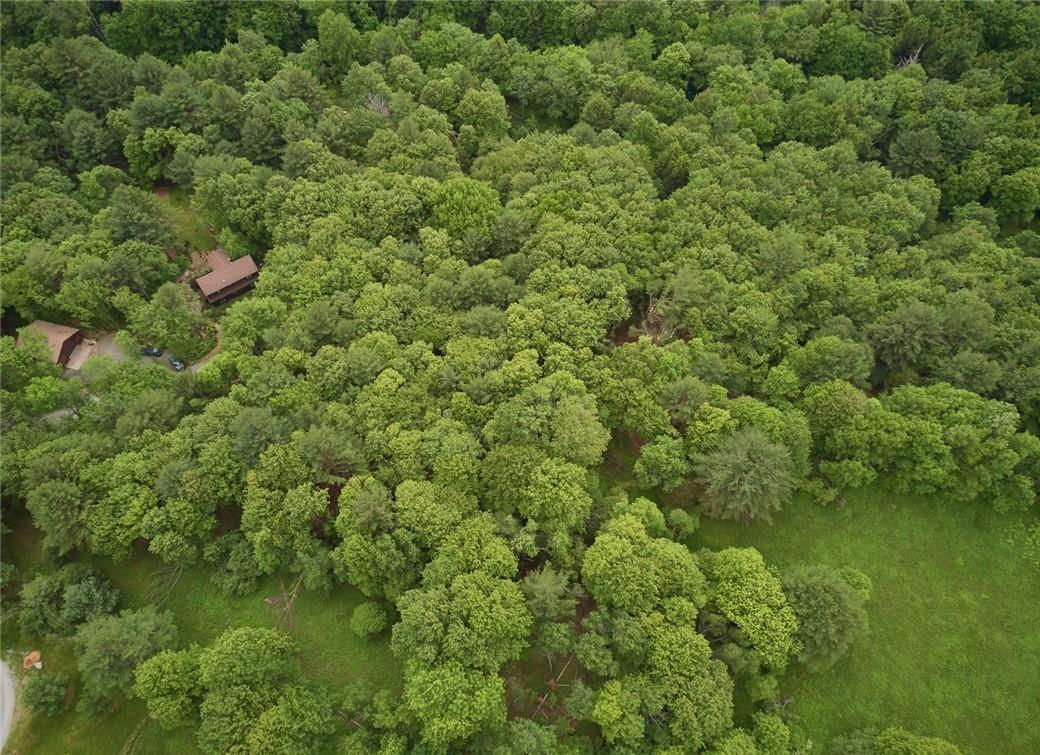 #9 photo, Lot 1 Chapin Trail, White Lake , NY 12786