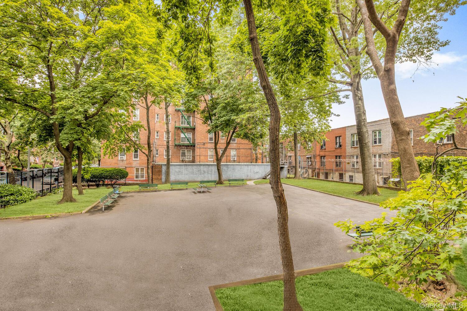 #11 photo, 1430 Thieriot Avenue, ブロンクス区 Bronx , NY 10460