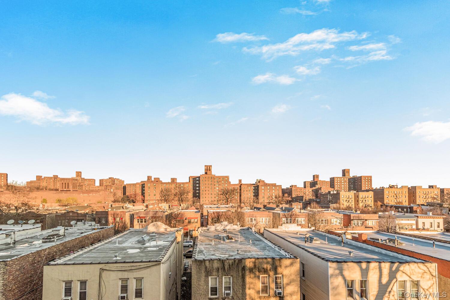 #12 photo, 1430 Thieriot Avenue, ブロンクス区 Bronx , NY 10460