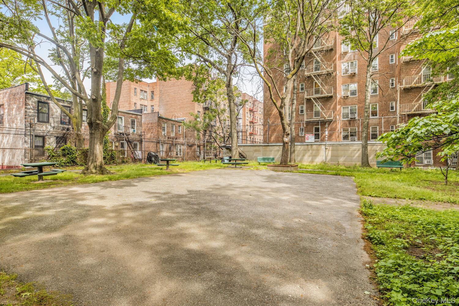 #13 photo, 1430 Thieriot Avenue, ブロンクス区 Bronx , NY 10460