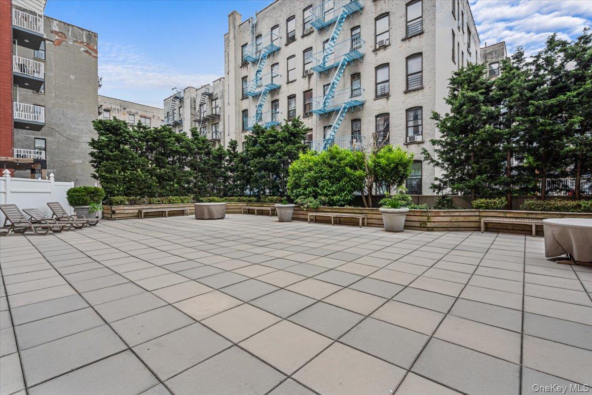 #17 photo, 342 E 119th Street, マンハッタン New York (Manhattan) , NY 10035