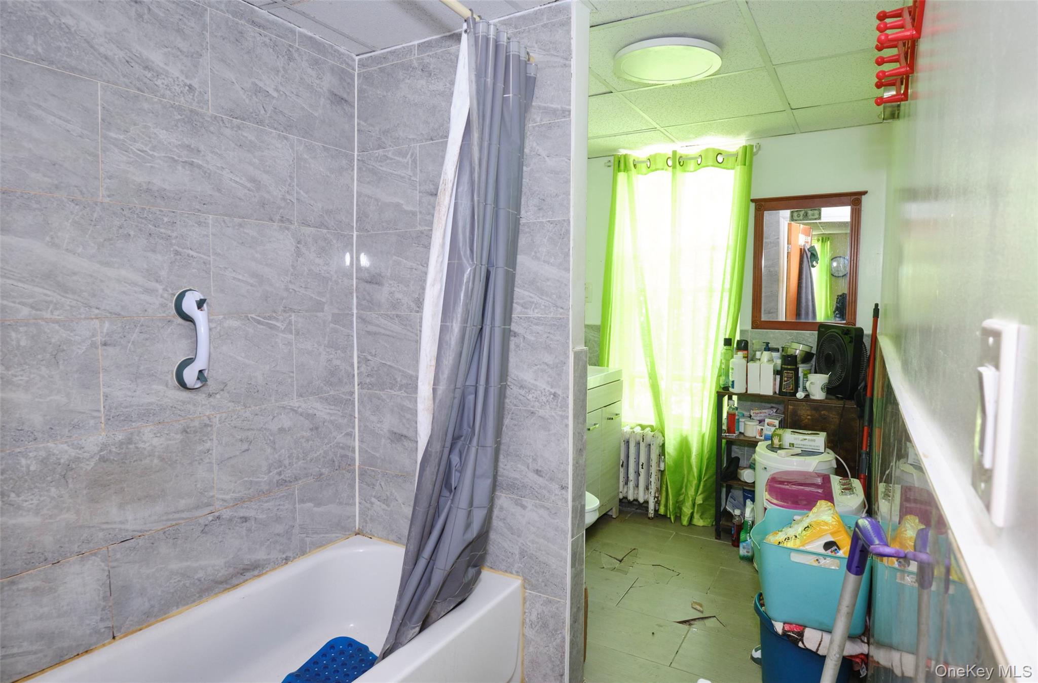 #11 photo, 99 Pioneer Street, ブルックリン区 Brooklyn , NY 11231